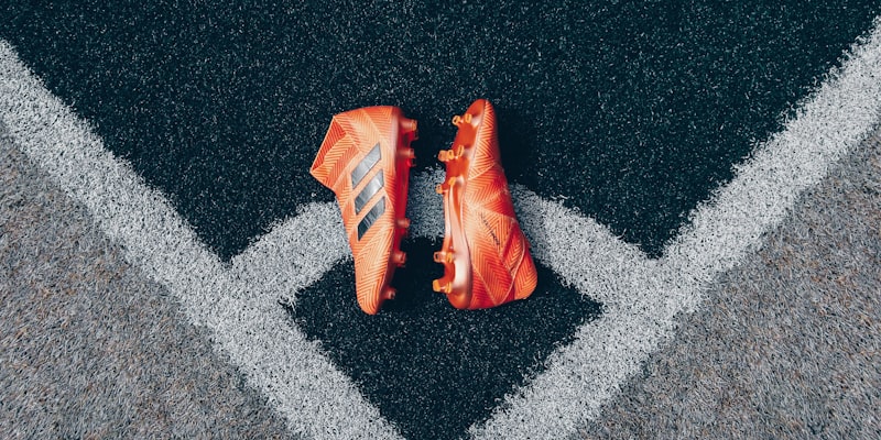 世界杯淘汰赛晋级树状图可视化